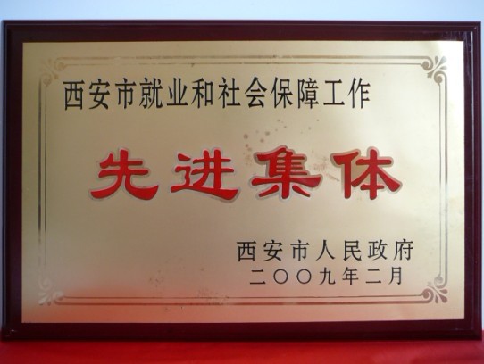 2009年2月，被西安市政府評為西安市就業(yè)和社會保障工作先進集體