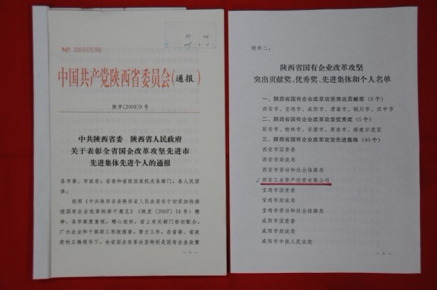 2009年2月，被陜西省委、省政府授予陜西省國有企業(yè)改革攻堅先進集體